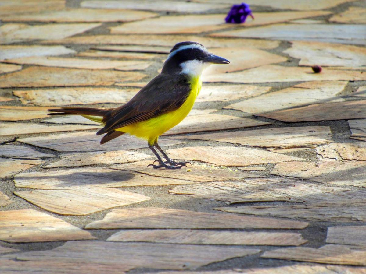 Pousada Mandalla Serra do Cipo National Park Eksteriør billede
